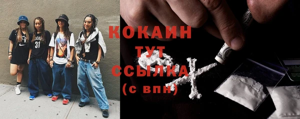 стаф Аркадак