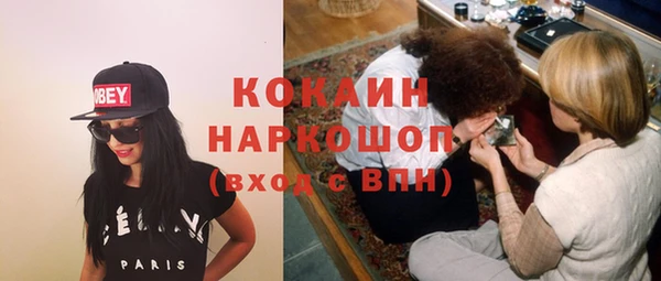 стаф Аркадак
