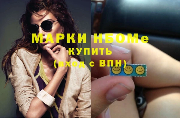 стаф Аркадак