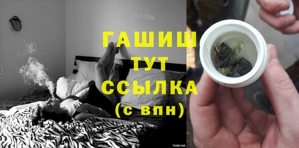 стаф Аркадак