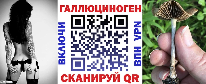 наркотики  мега маркетплейс  Галлюциногенные грибы прущие грибы  Байкальск 